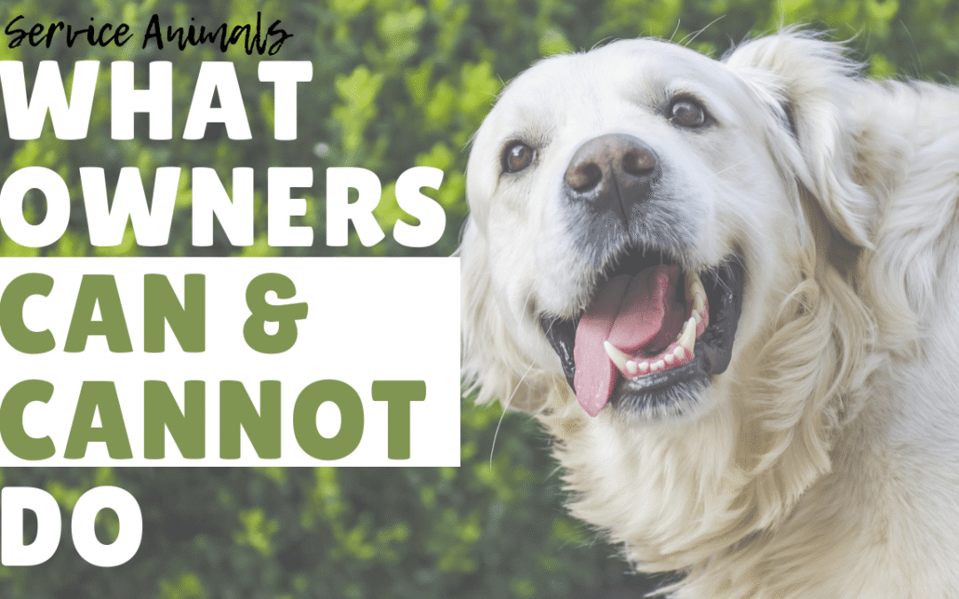 Service Animals – What Owners Can and Cannot do in Oakland