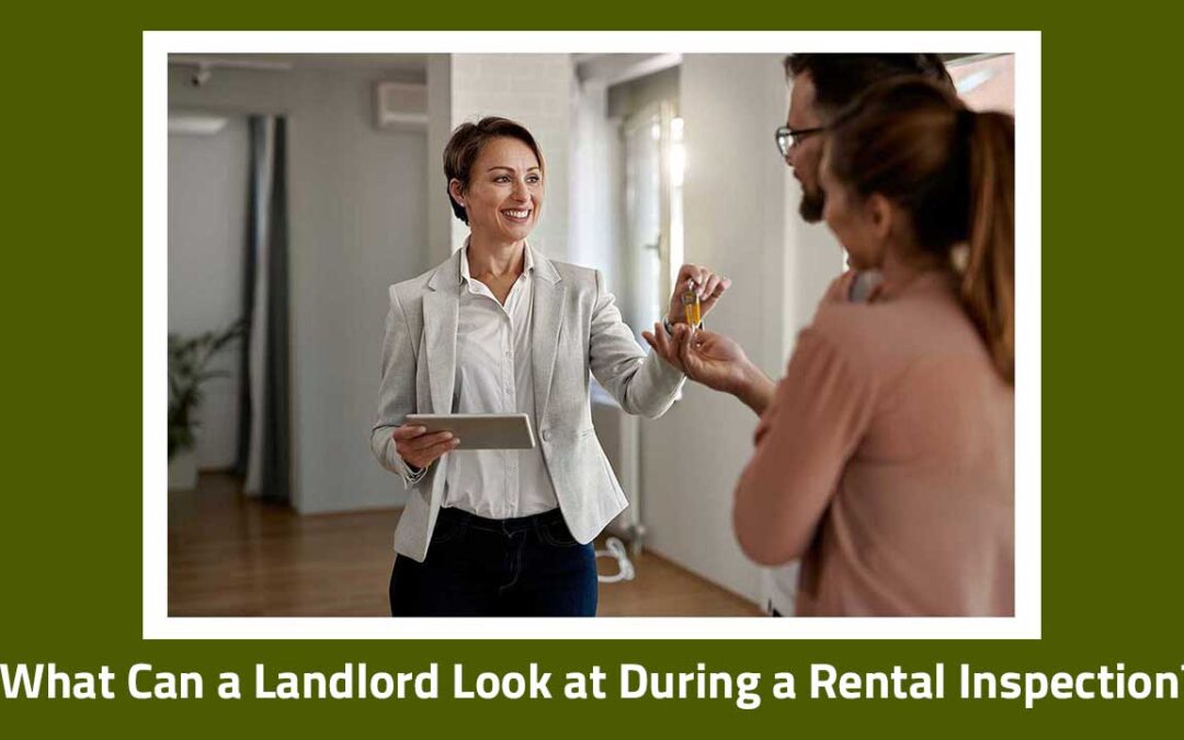 What Can a Landlord Look at During a Rental Inspection?