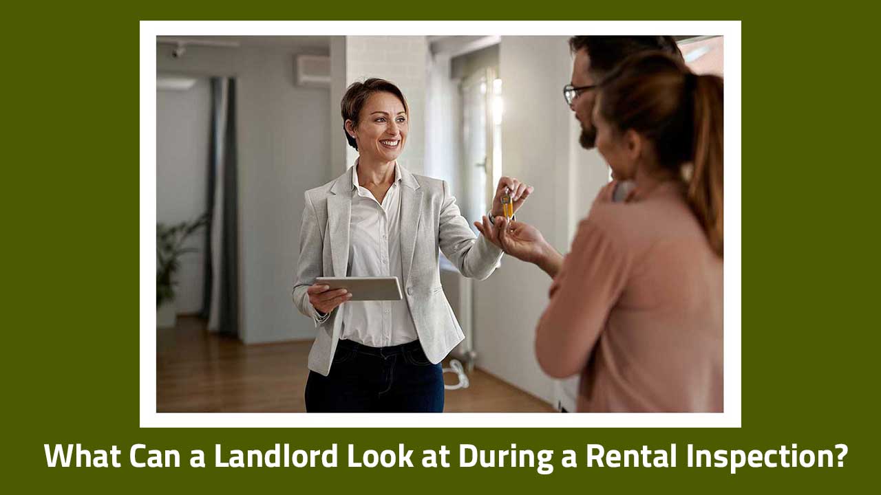 What Can a Landlord Look at During a Rental Inspection?